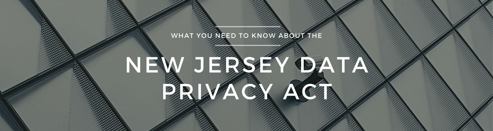 New Jersey Data Privacy Law Image