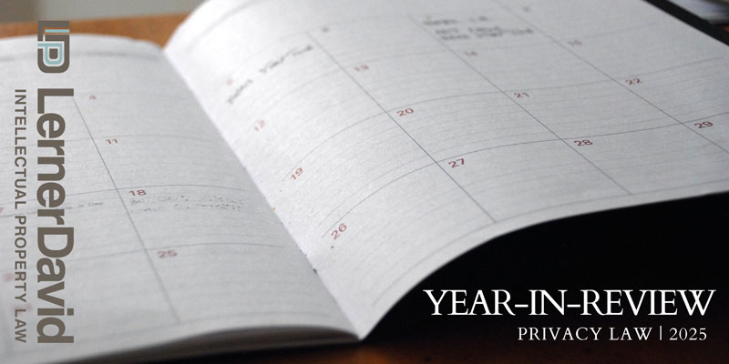 2025 Year-in-Review: Privacy Law