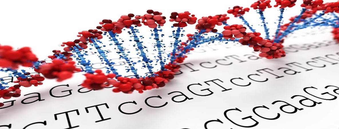 Biotechnology Sequencw Compliance